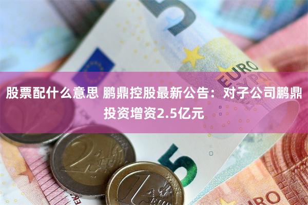 股票配什么意思 鹏鼎控股最新公告：对子公司鹏鼎投资增资2.5亿元