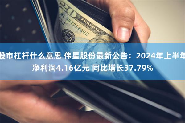 股市杠杆什么意思 伟星股份最新公告：2024年上半年净利润4.16亿元 同比增长37.79%