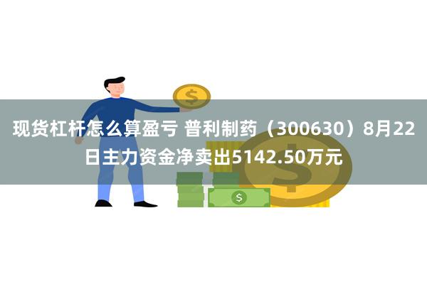 现货杠杆怎么算盈亏 普利制药（300630）8月22日主力资金净卖出5142.50万元