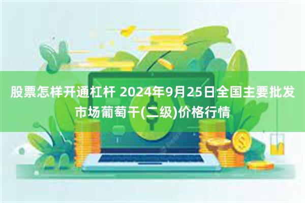 股票怎样开通杠杆 2024年9月25日全国主要批发市场葡萄干(二级)价格行情