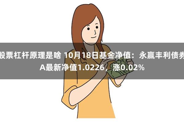 股票杠杆原理是啥 10月18日基金净值：永赢丰利债券A最新净值1.0226，涨0.02%