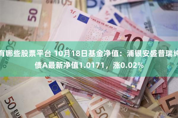 有哪些股票平台 10月18日基金净值：浦银安盛普瑞纯债A最新净值1.0171，涨0.02%