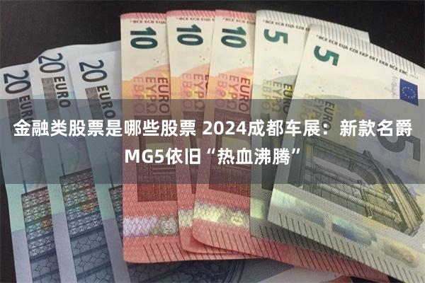 金融类股票是哪些股票 2024成都车展：新款名爵MG5依旧“热血沸腾”