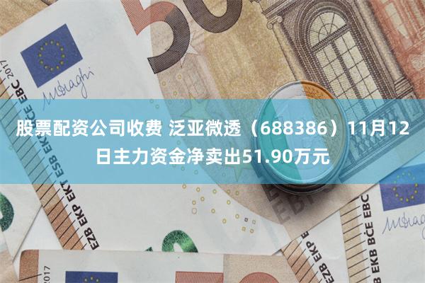 股票配资公司收费 泛亚微透（688386）11月12日主力资金净卖出51.90万元