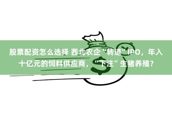 股票配资怎么选择 西北农企“转道”IPO，年入十亿元的饲料供应商，“下注”生猪养殖？