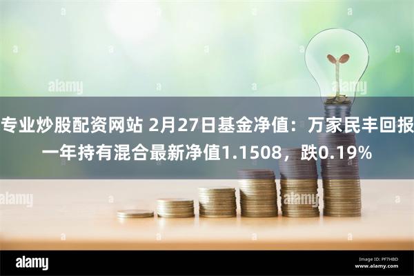 专业炒股配资网站 2月27日基金净值：万家民丰回报一年持有混合最新净值1.1508，跌0.19%